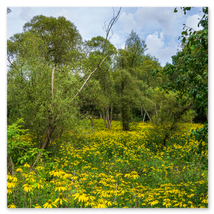 Werkschau Ullrich Gnoth Foto-Grafik-Design.