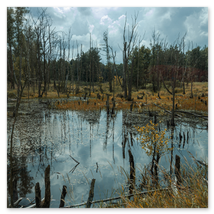 Werkschau Ullrich Gnoth Foto-Grafik-Design.