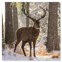 Werkschau Ullrich Gnoth Foto-Grafik-Design.