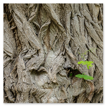 Werkschau Ullrich Gnoth Foto-Grafik-Design.