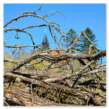 Werkschau Ullrich Gnoth Foto-Grafik-Design.