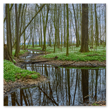 Werkschau Ullrich Gnoth Foto-Grafik-Design.