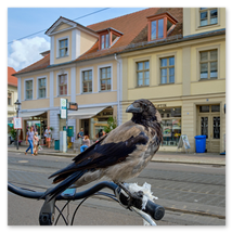 Werkschau Ullrich Gnoth Foto-Grafik-Design.