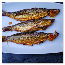 Werkschau Ullrich Gnoth Foto-Grafik-Design.