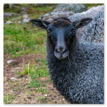 Werkschau Ullrich Gnoth Foto-Grafik-Design.