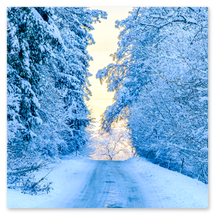 Werkschau Ullrich Gnoth Foto-Grafik-Design.