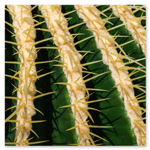 Werkschau Ullrich Gnoth Foto-Grafik-Design.